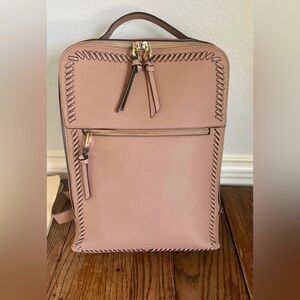 Calpak backpack / work bag / travel bag